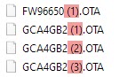 orig06_right_files_wrong_names.jpg