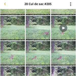 VideoReq04_2025.jpg