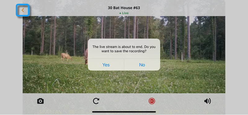 LiveStream09.jpg