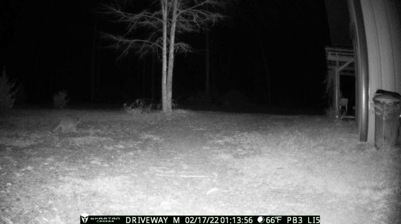 Driveway_GL2_night.jpg
